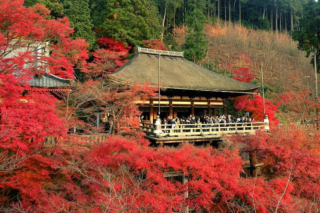 Villa Zen Kyoto Kinkaku-Ji Temple Extérieur photo